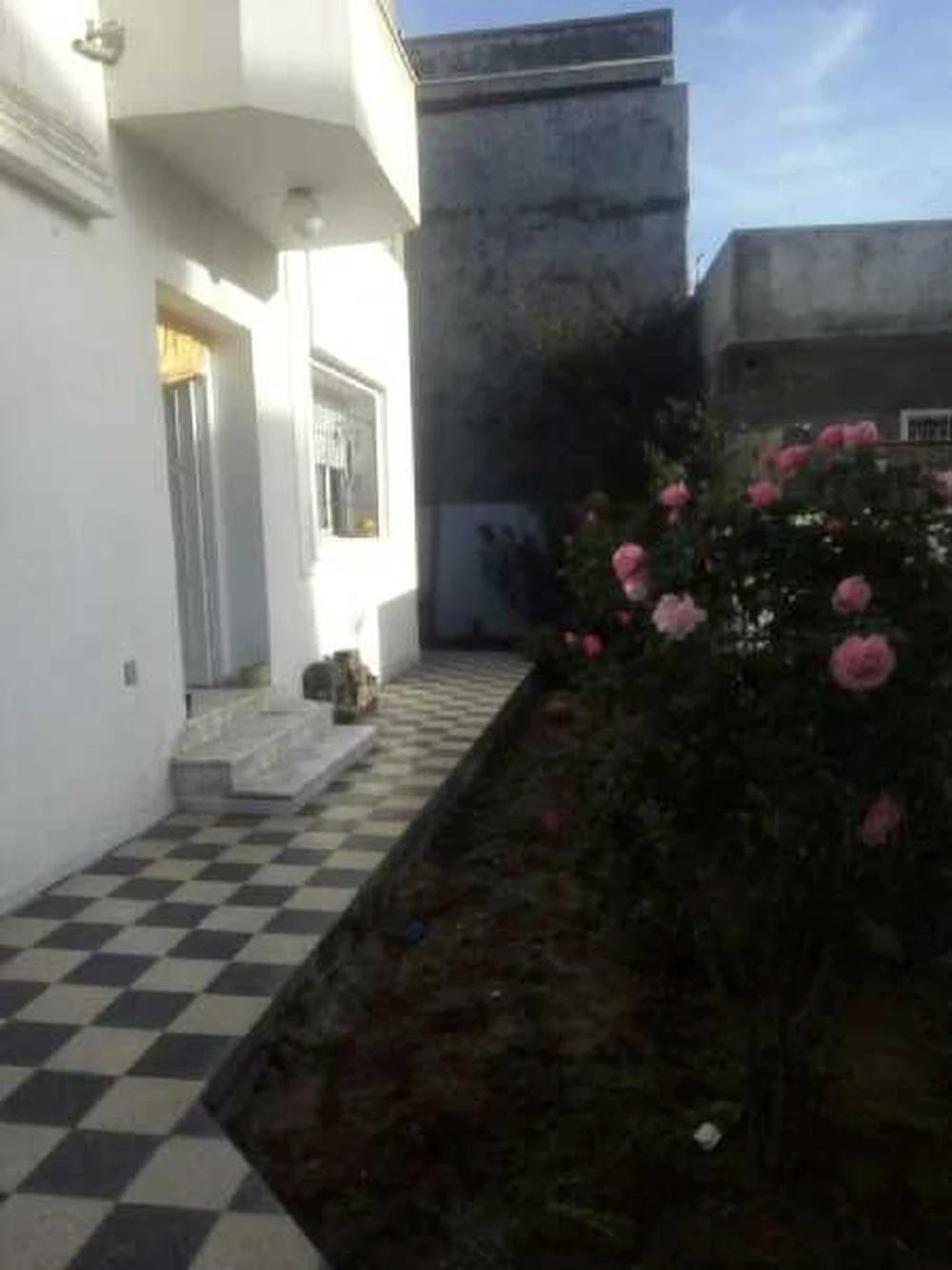 My Image